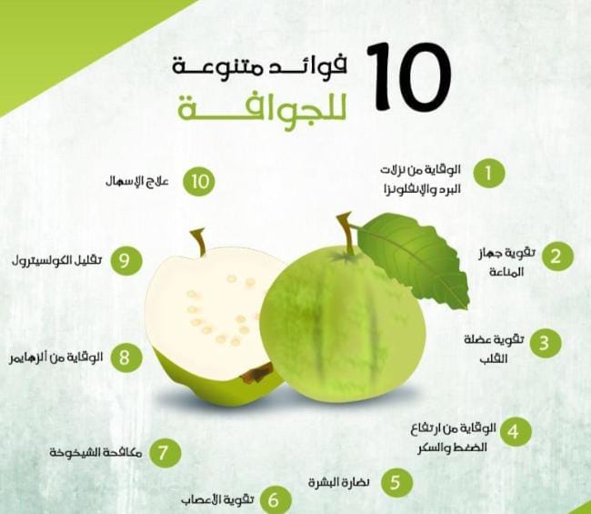 القيمة الصحية وفوائد الجوافة